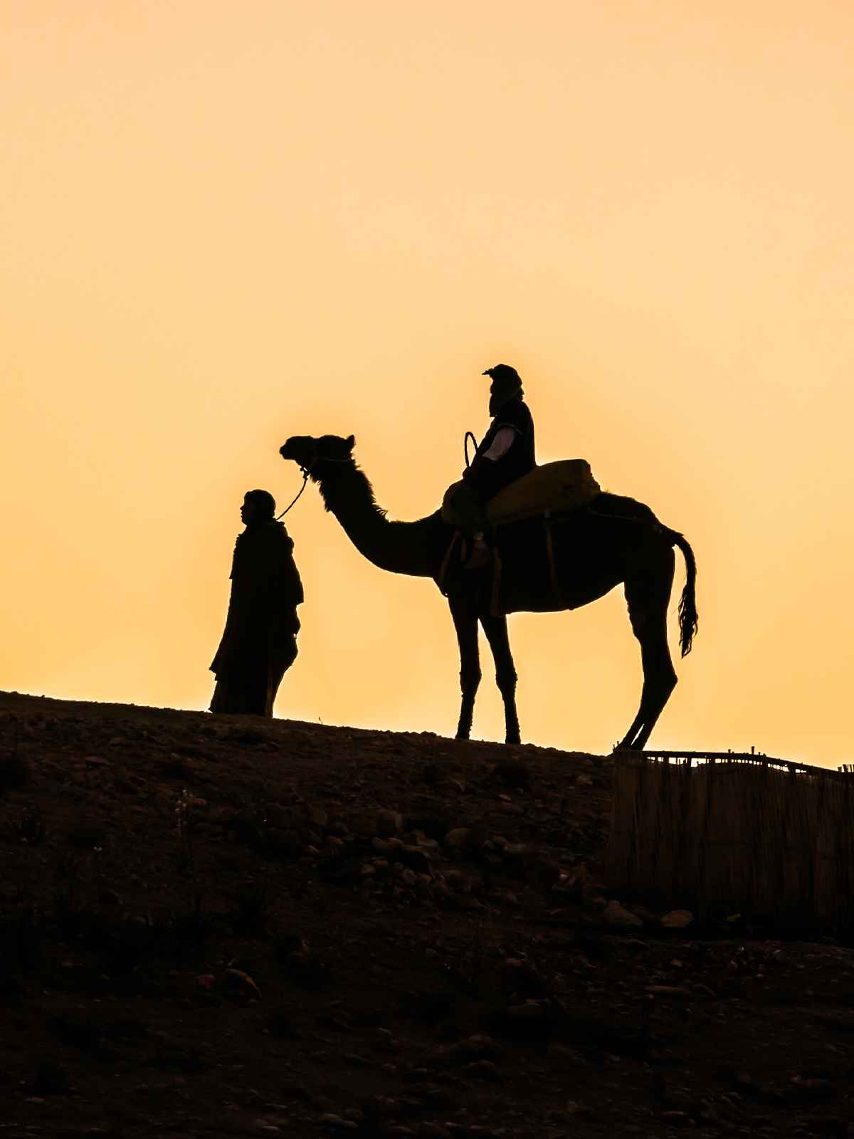 Backlit at sunset, a rider on a camel and the guide holding the lead rope