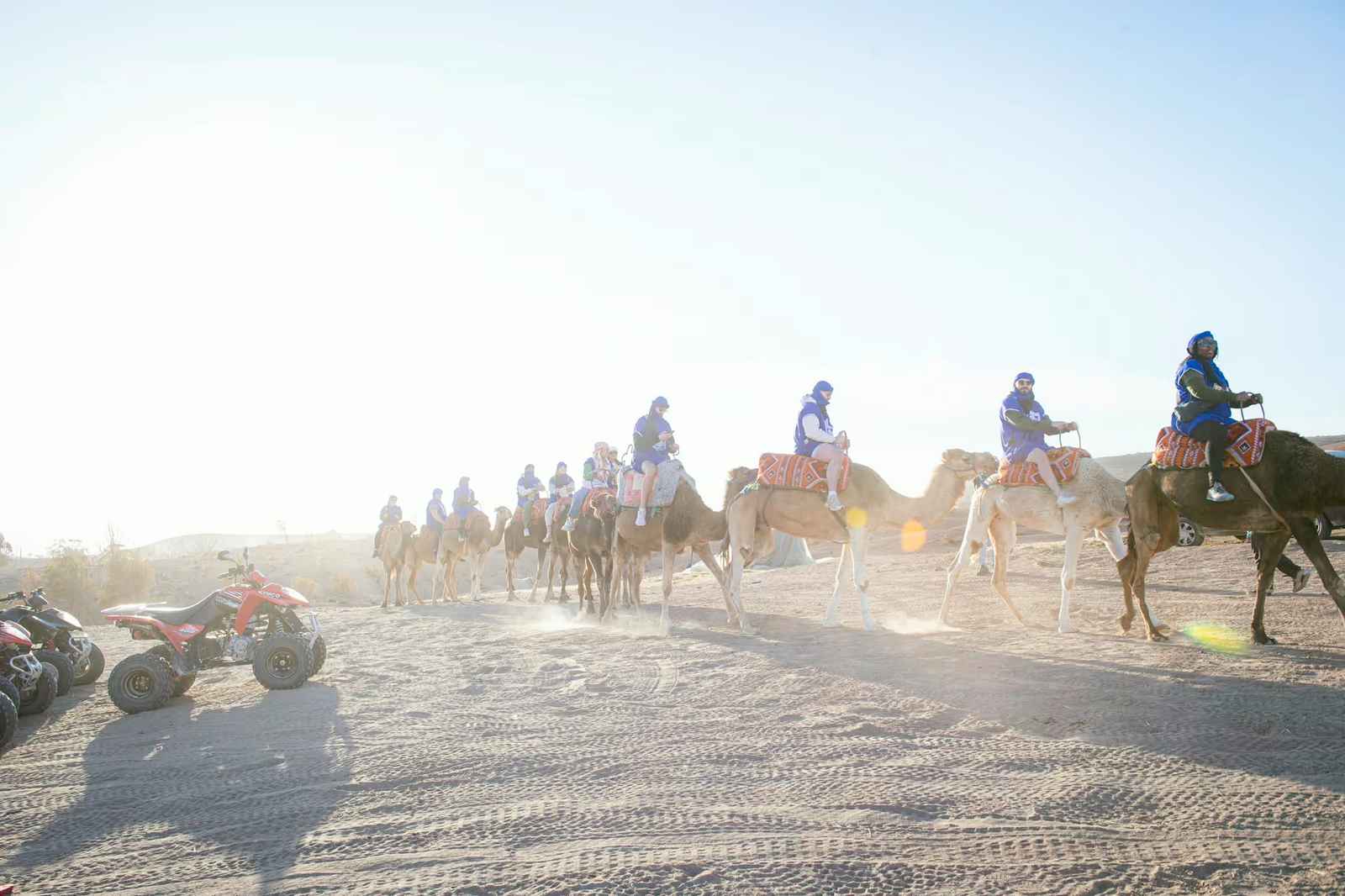 Camel train in backlit dust, quads parked to one side