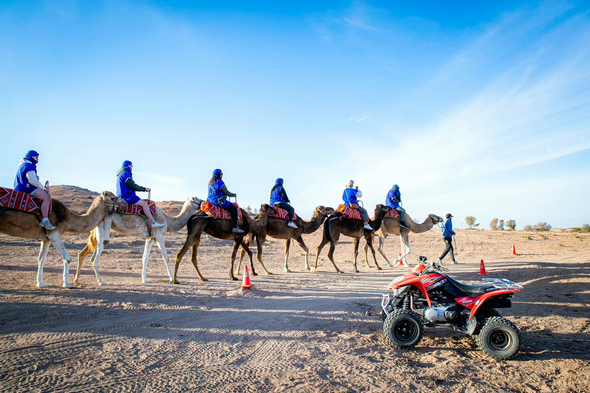 Carovana di cammelli con persone vestite di blu in sella, un quad che passa davanti