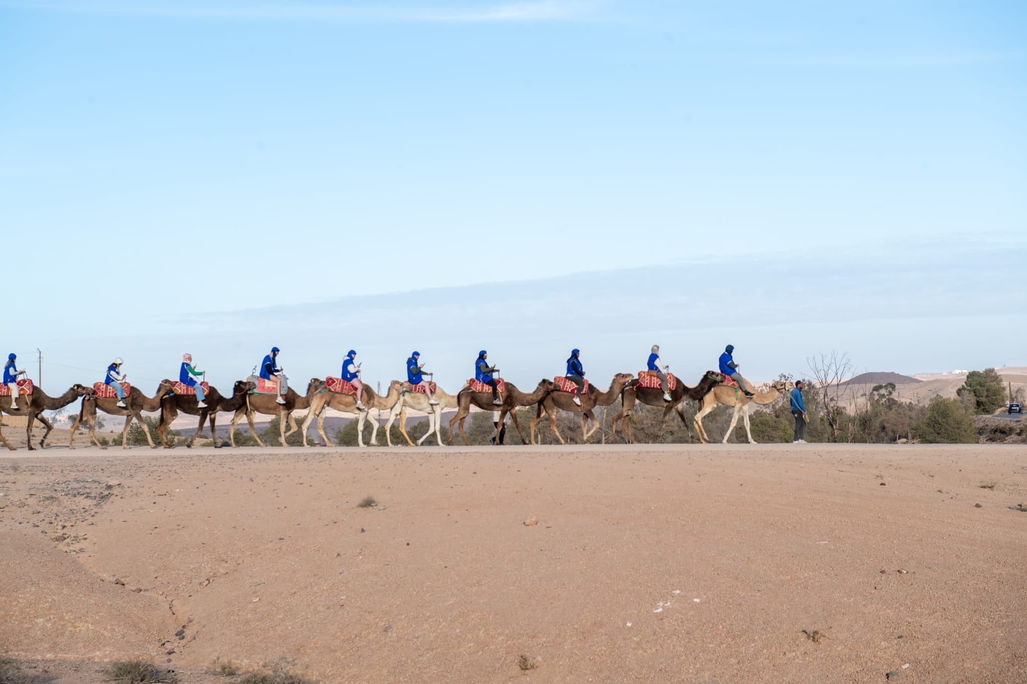 Lunga carovana di cammelli con persone vestite di blu in sella sulla piana del deserto, un cammelliere a piedi in testa