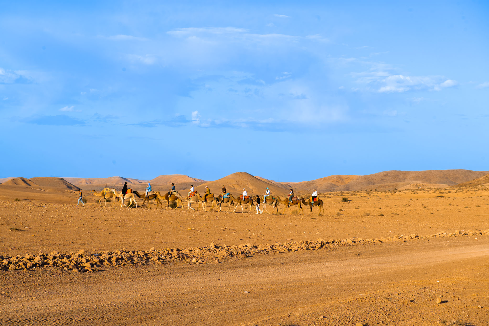 Camel Trekking