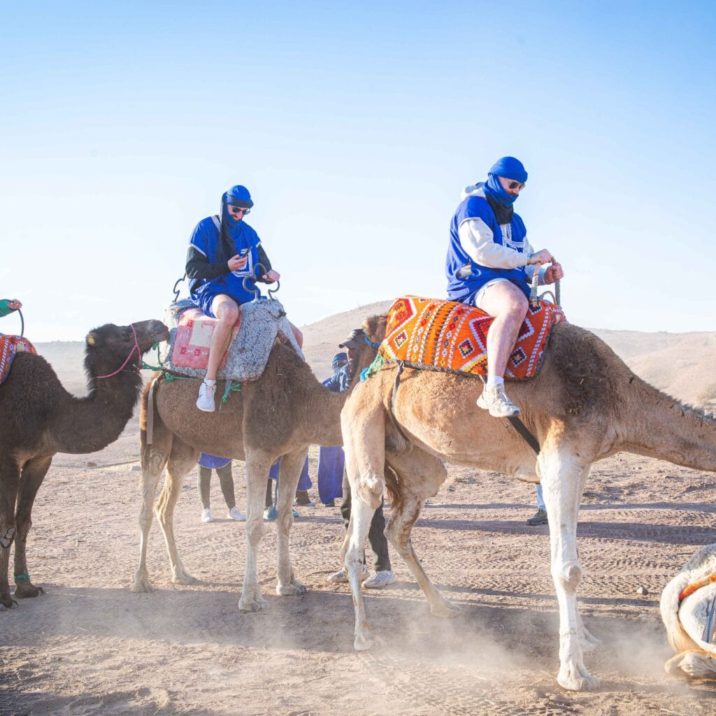 Agafay camel ride at sunset with Atlas Mountains in the background near Marrakech