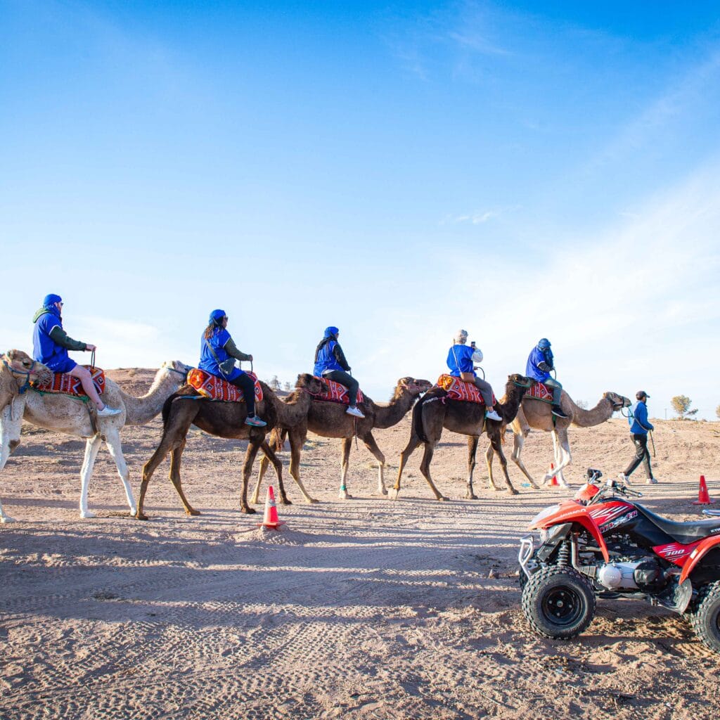 Agafay camel ride at sunset with Atlas Mountains in the background near Marrakech