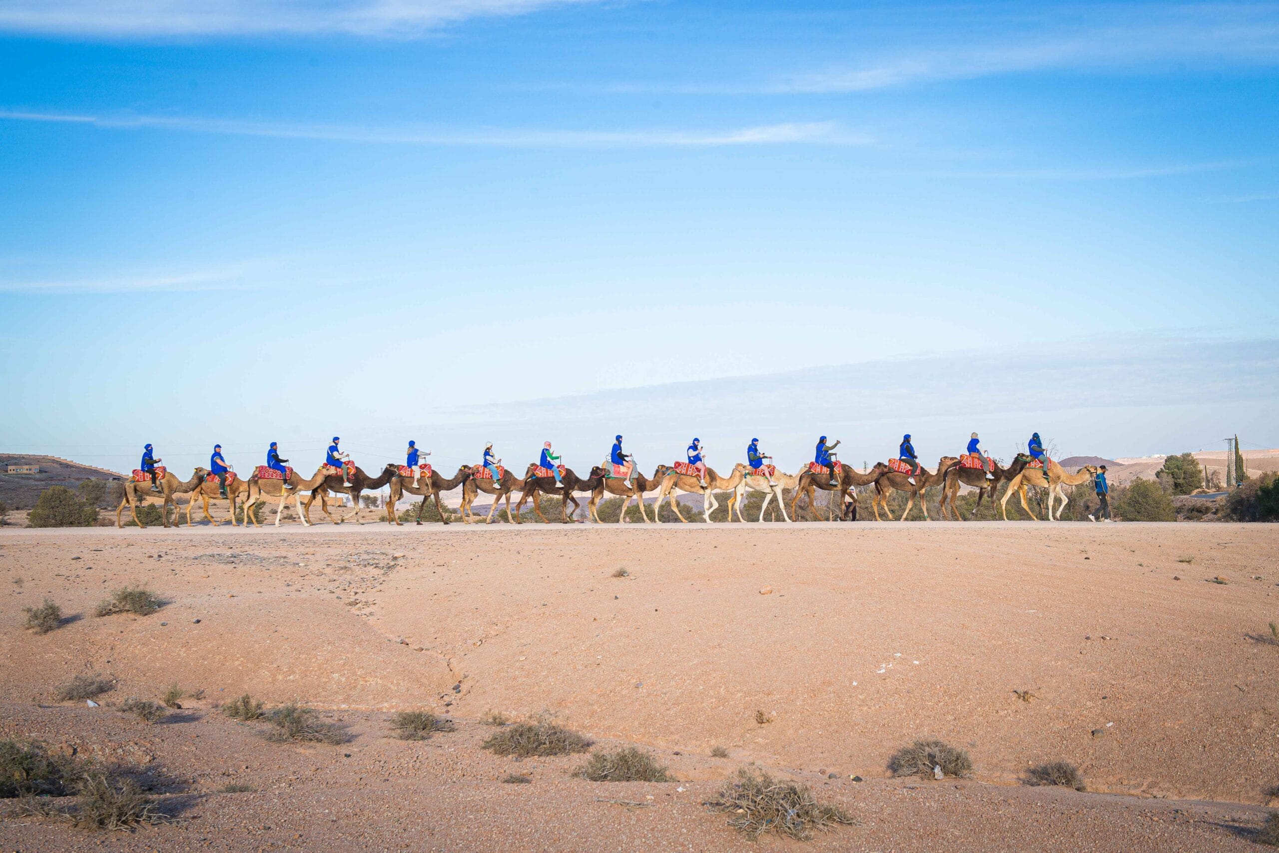 Agafay camel ride at sunset with Atlas Mountains in the background near Marrakech