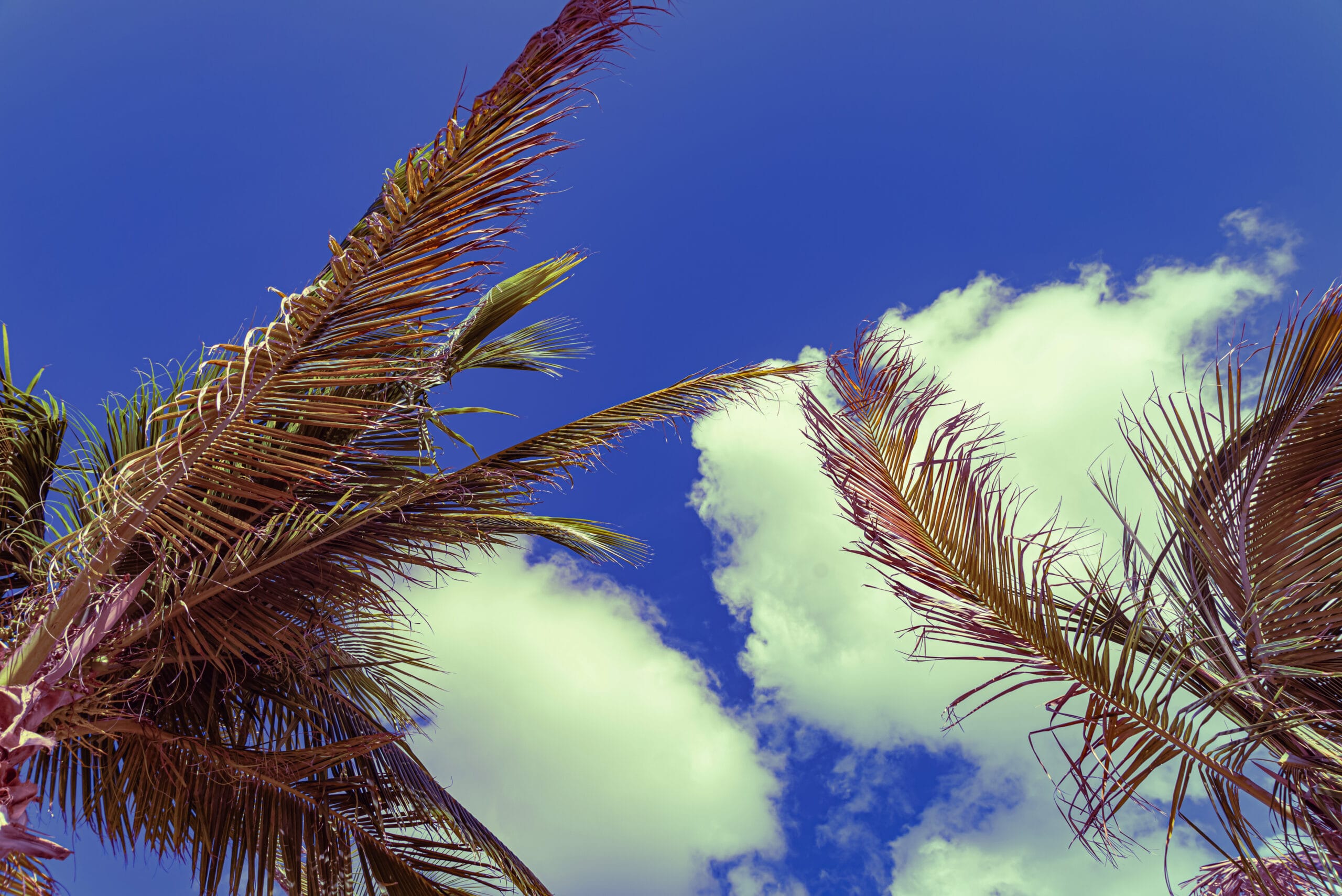 Marrakech Weather: Complete Month-by-Month Guide for 2026