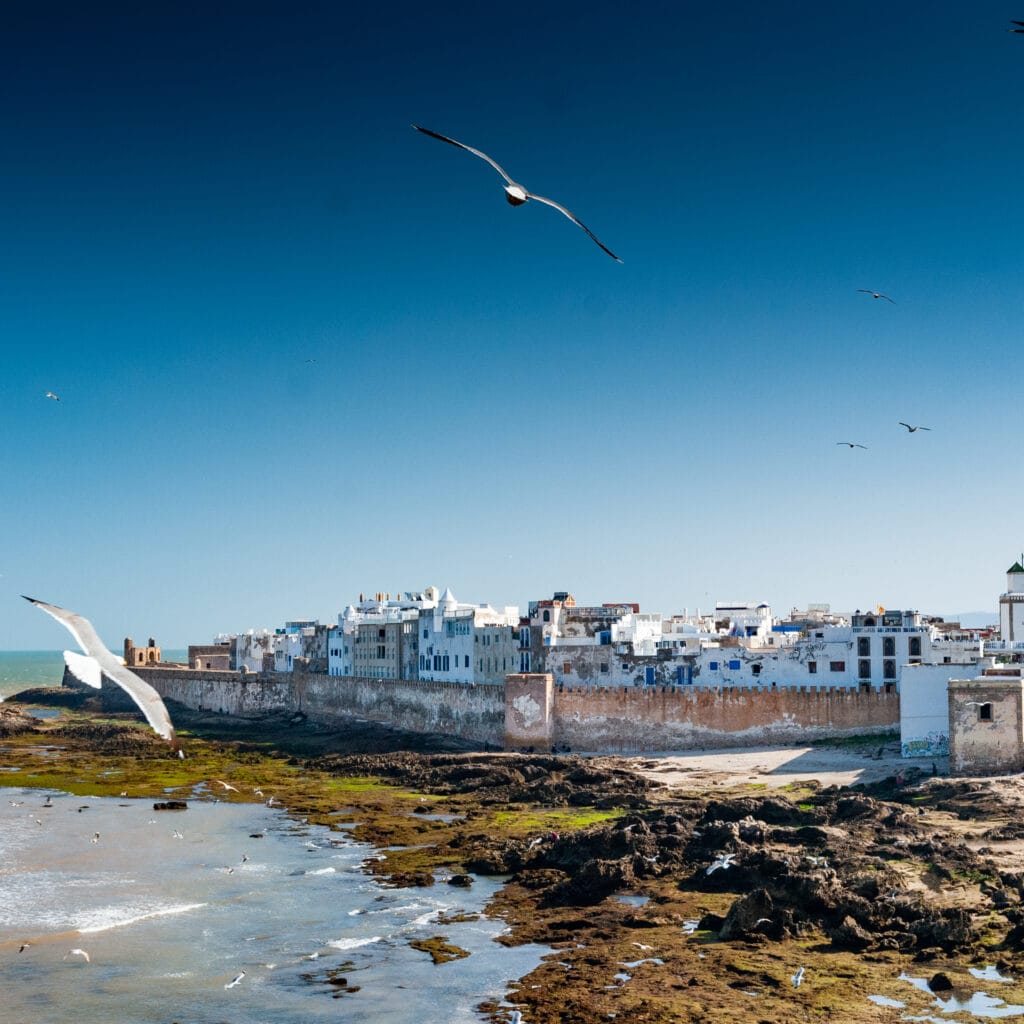 Essaouira Day Trip from Marrakech: The Complete 2026 Coastal Guide