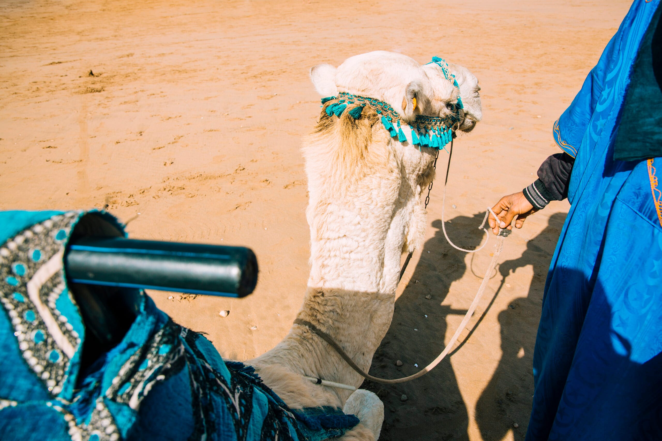 Marrakech Bachelor Party: The Ultimate Stag Do Guide for the Agafay Desert