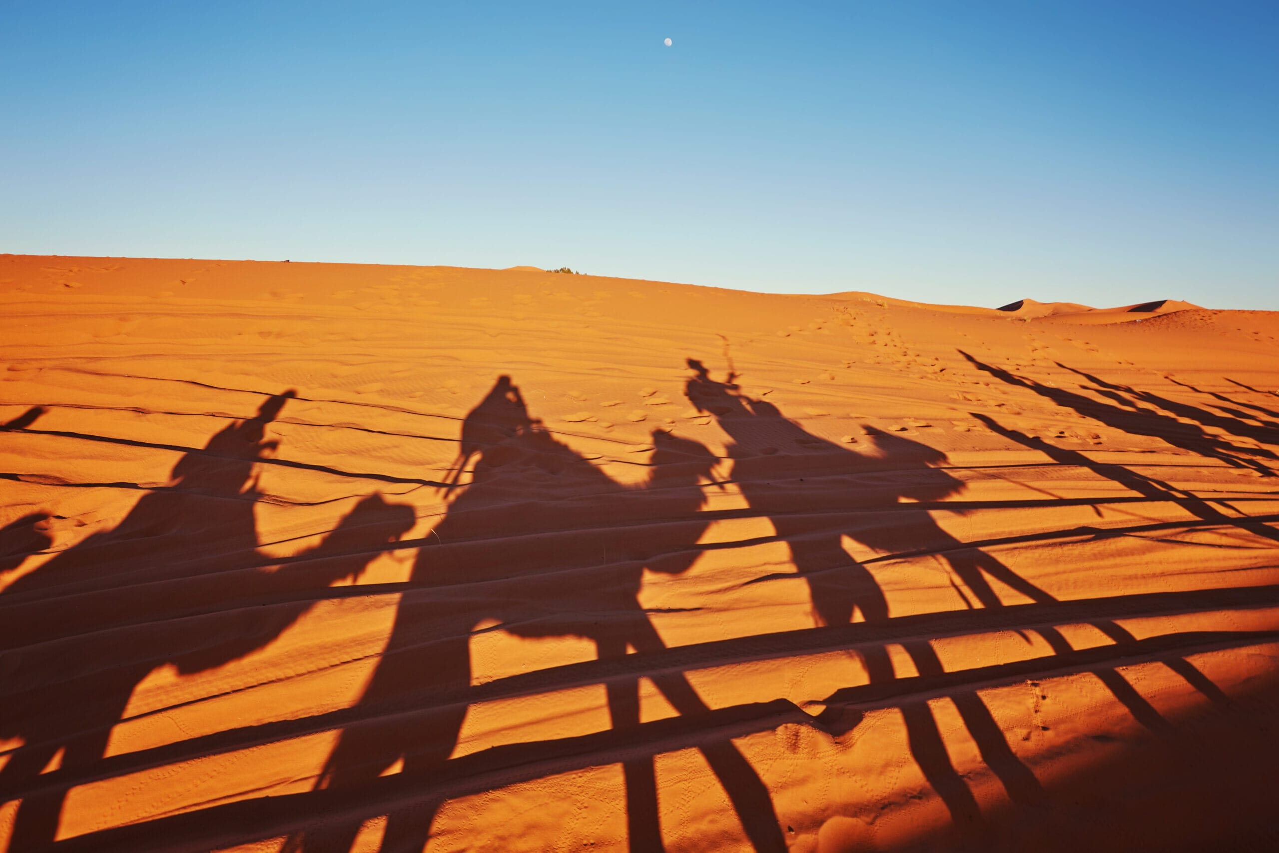 VIP Desert Experience: Glamping and Luxury Quad Custom Itineraries in Agafay